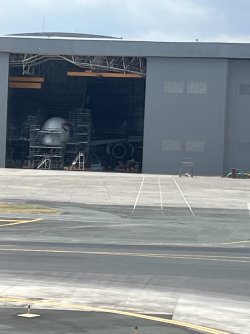 IMG_4452.jpeg