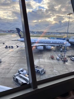IMG_8538.jpeg