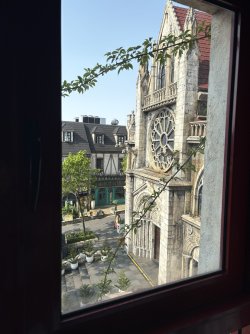 IMG_1704.jpeg