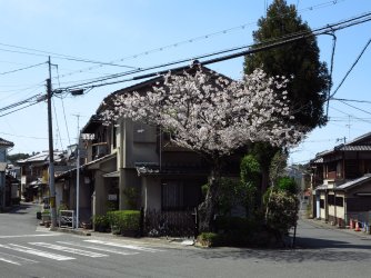 KI 03.jpg
