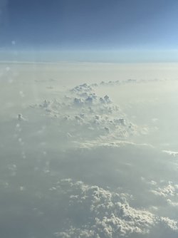 IMG_8558.jpeg