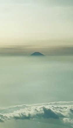IMG_8567.jpeg