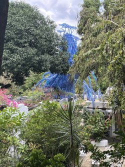 IMG_4491.jpeg