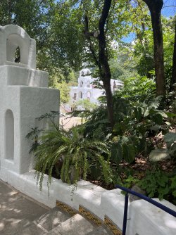 IMG_4492.jpeg