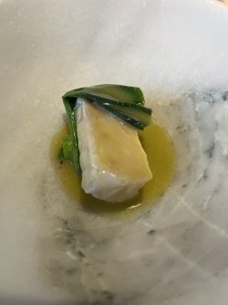 IMG_4473.jpeg