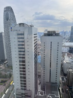 IMG_8608.jpeg