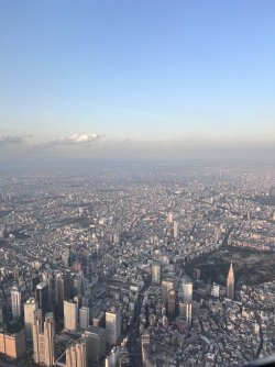 IMG_8570.jpeg