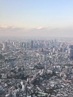 IMG_8572.jpeg