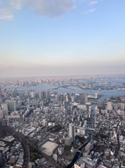 IMG_8574.jpeg