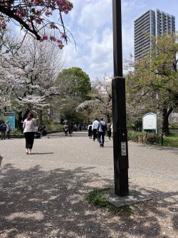 IMG_8632.jpeg