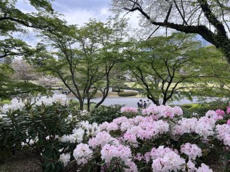 IMG_8626.jpeg