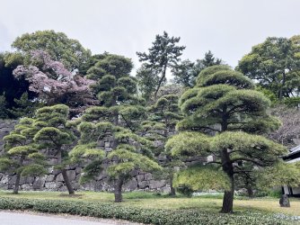 IMG_8615.jpeg