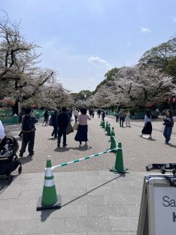 IMG_8652.jpeg