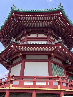 IMG_8658.jpeg