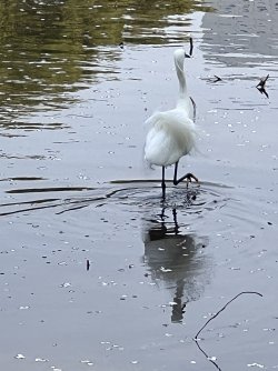 IMG_8638.jpeg