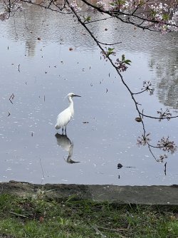 IMG_8639.jpeg