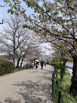IMG_8642.jpeg