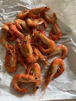 IMG_5785.jpeg