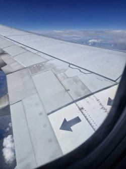 1000003534.jpg
