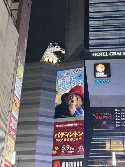 IMG_8677.jpeg