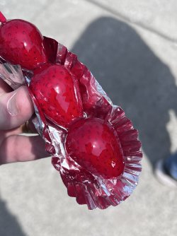 IMG_8651.jpeg