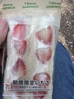 IMG_8631.jpeg