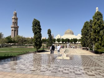 IMG_4576.jpeg