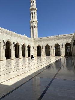 IMG_4591.jpeg