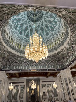 IMG_4600.jpeg