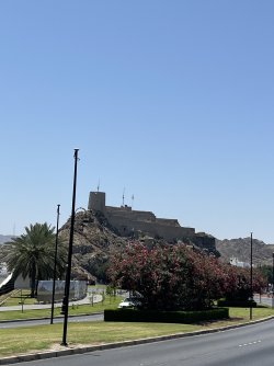 IMG_4639.jpeg
