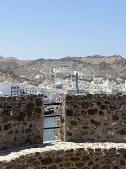 IMG_4652.jpeg