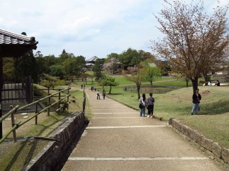 N 11.jpg