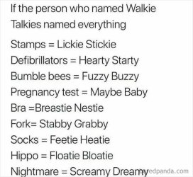 67f3e3db61dd2_i-speak-fluent-sarcasm-memes.jpg