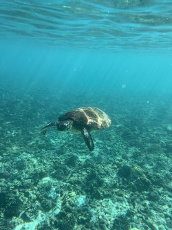 IMG_4742.jpeg