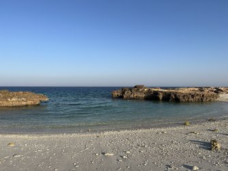 IMG_4770.jpeg
