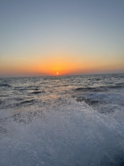 IMG_4784.jpeg