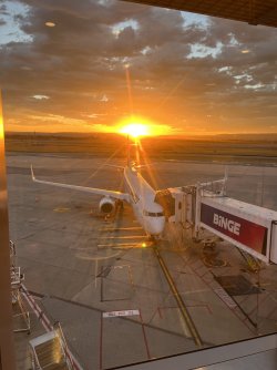 IMG_1800.jpeg