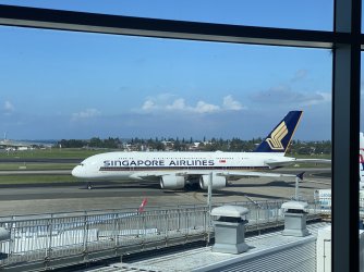 IMG_6728.jpeg
