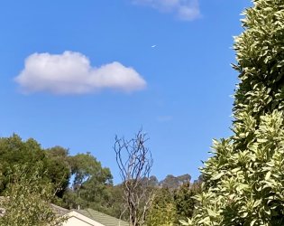 IMG_3967.jpeg
