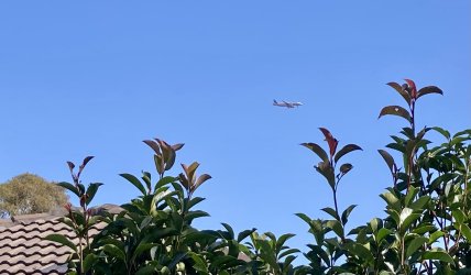 IMG_3969.jpeg