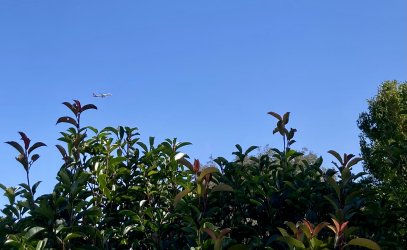 IMG_3972.jpeg