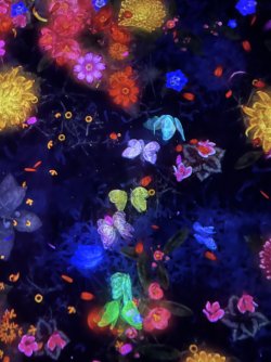 IMG_8733.jpeg