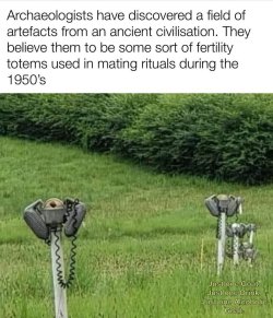 IMG_7638.jpeg