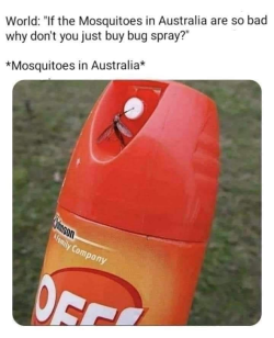 1744505122436.png