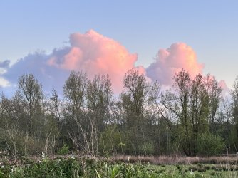 IMG_0373.jpeg