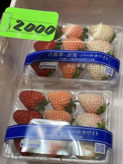 IMG_8787.jpeg