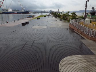 Y 07.jpg