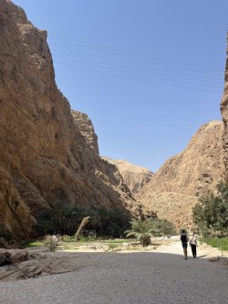 IMG_4840.jpeg