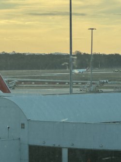 IMG_2815.jpeg