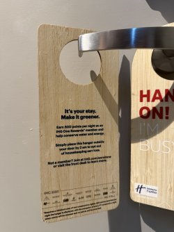 IMG_3374.jpeg